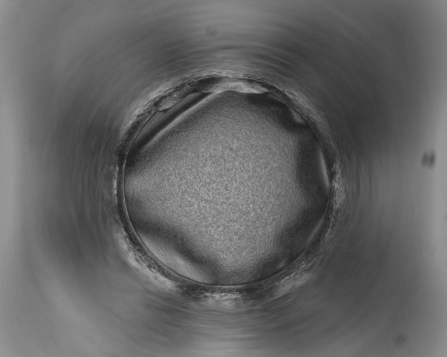 X0000114200446200910231347