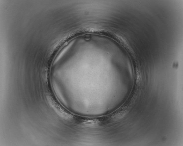 X0000114200447200910231347