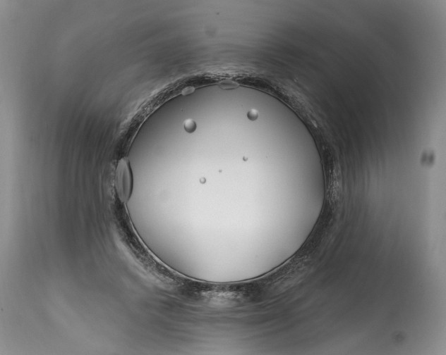 X0000114200448200910231347