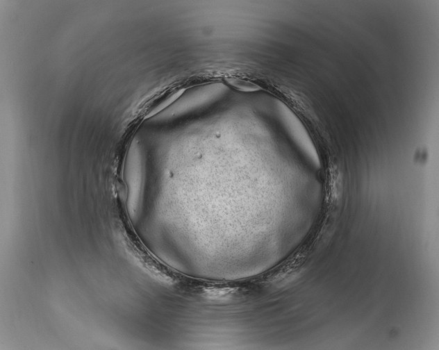 X0000114200450200910231347