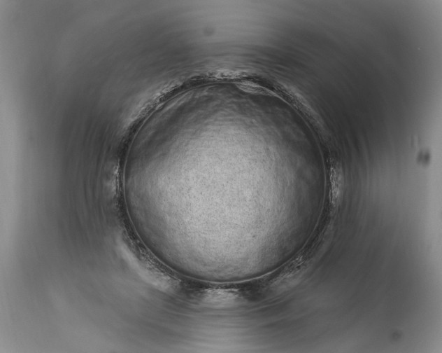 X0000114200451200910231347