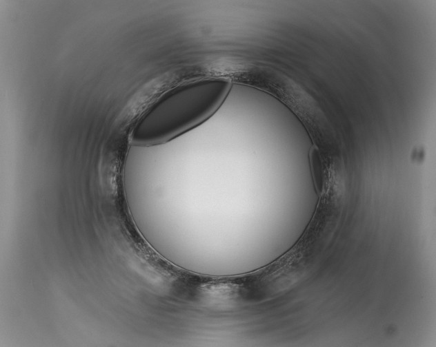 X0000114200452200910231347