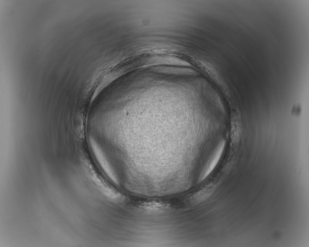 X0000114200453200910231347