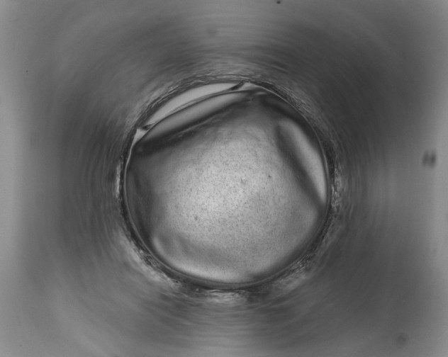 X0000114200454200910231347