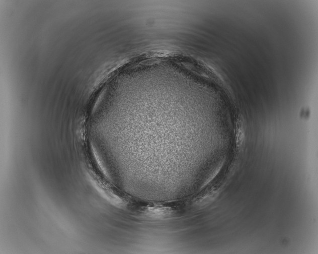 X0000114200455200910231347