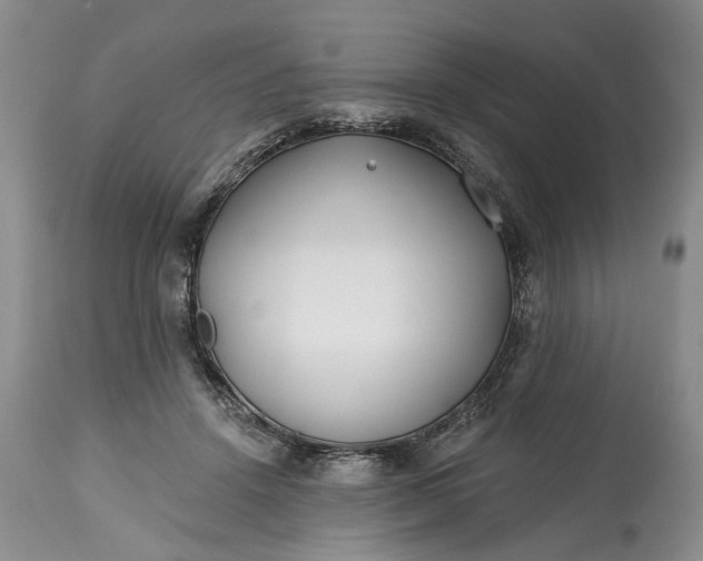 X0000114200456200910231347