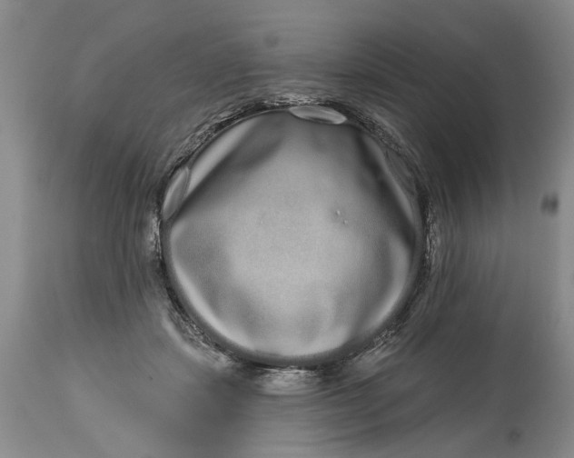 X0000114200459200910231347