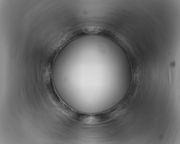 X0000114200460200910231347