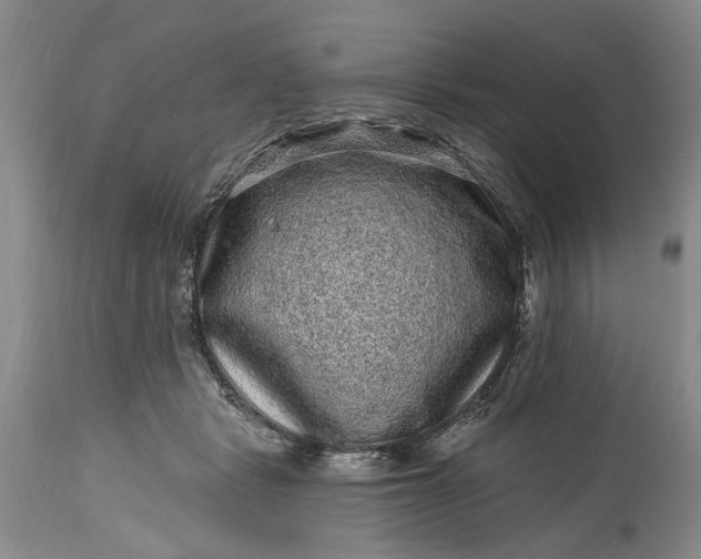 X0000114200461200910231347