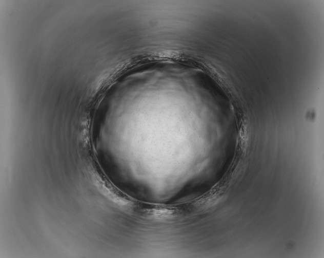 X0000114200462200910231347