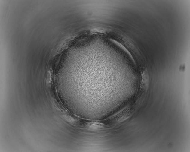 X0000114200463200910231347