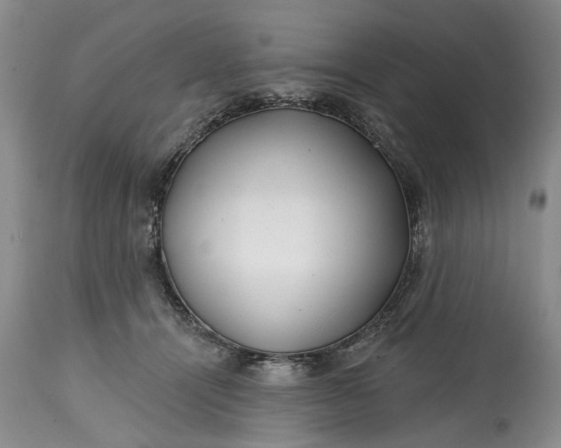 X0000114200464200910231347