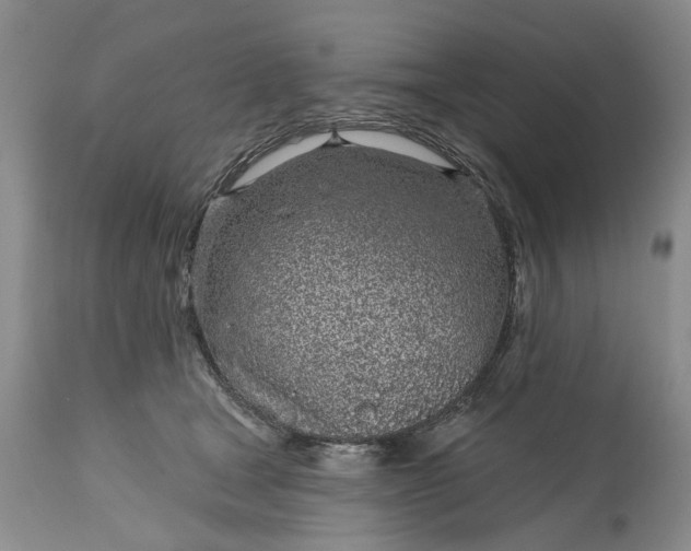 X0000114200465200910231347