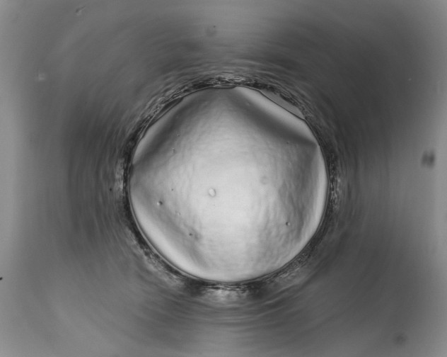 X0000114200466200910231347