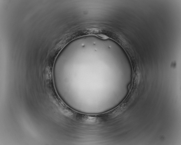 X0000114200467200910231347