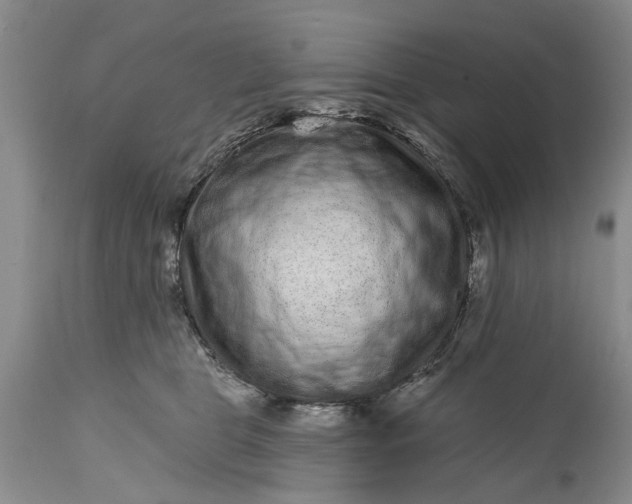 X0000114200469200910231347