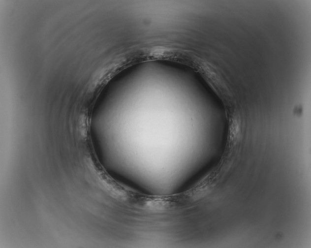 X0000114200470200910231347