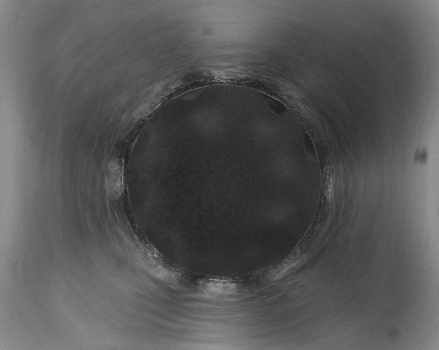 X0000114200471200910231347