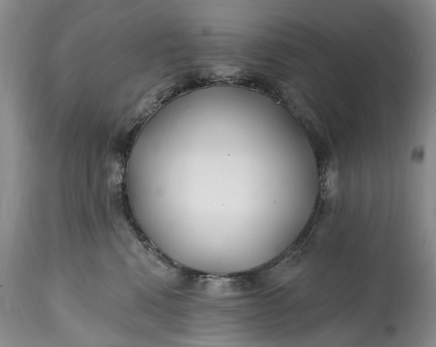 X0000114200472200910231347