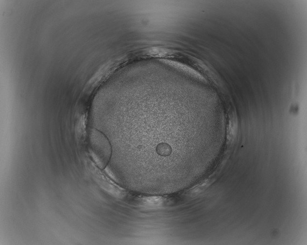 X0000114200473200910231347