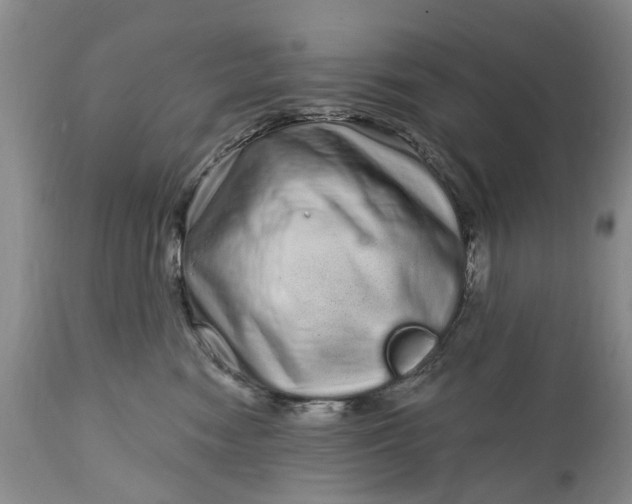 X0000114200474200910231347