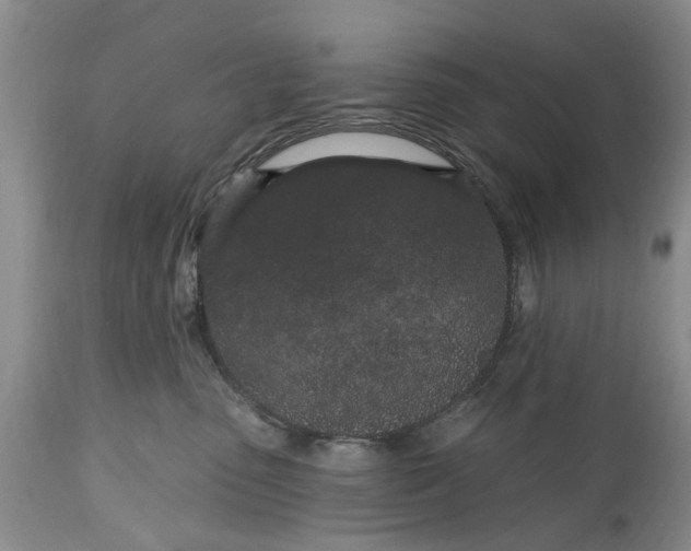 X0000114200475200910231347