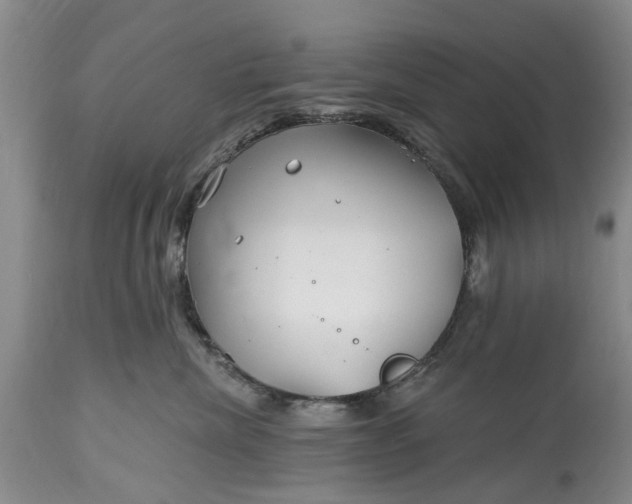 X0000114200476200910231347