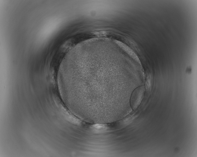 X0000114200477200910231347