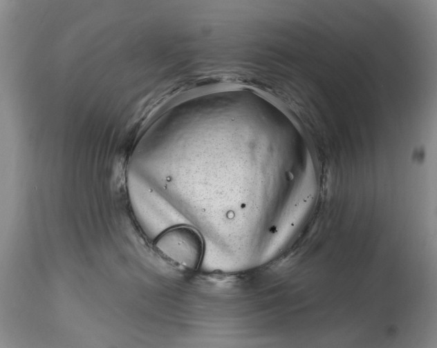 X0000114200478200910231348