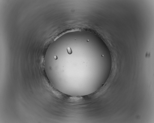 X0000114200480200910231348