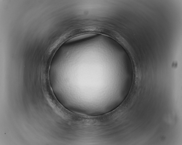 X0000114200482200910231347