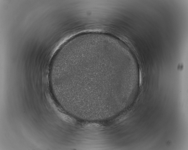 X0000114200483200910231347