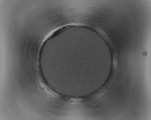 X0000114200484200910231347