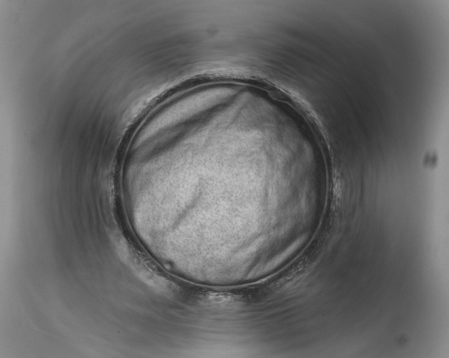 X0000114200487200910231347