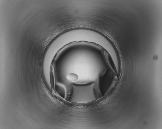 X0000114200489200910231347