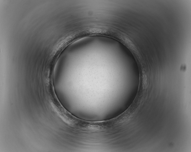 X0000114200490200910231347