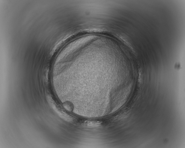 X0000114200491200910231347