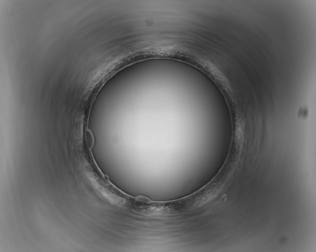 X0000114200493200910231347