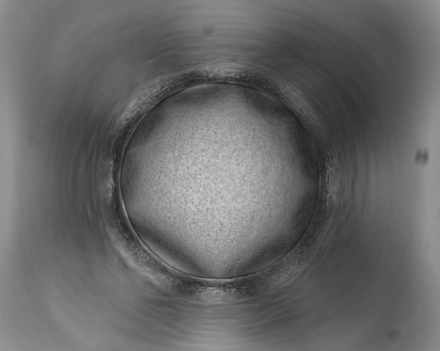 X0000114200494200910231347