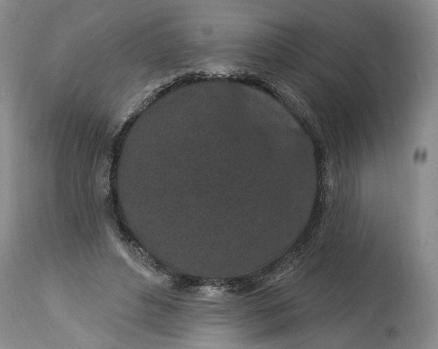 X0000114200496200910231347