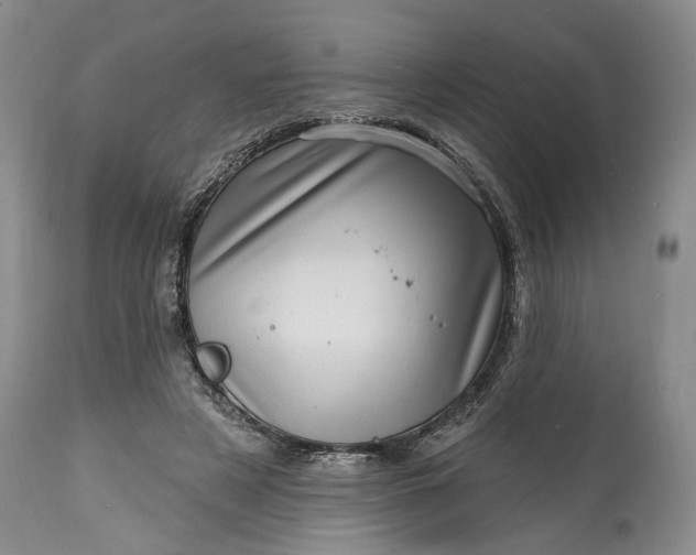 X0000114200497200910231347