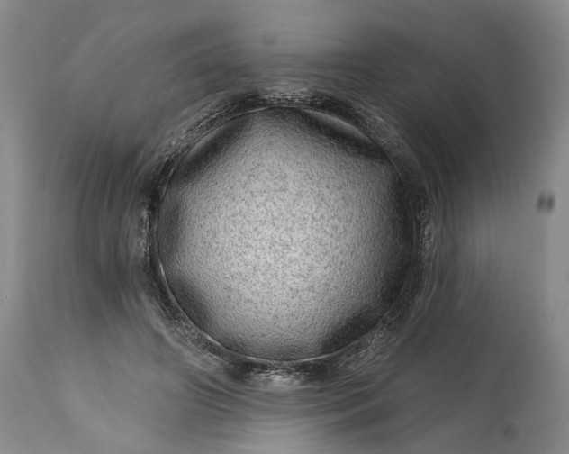 X0000114200498200910231347