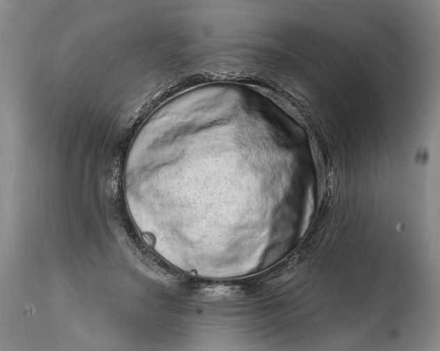 X0000114200499200910231347