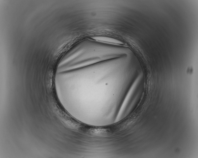 X0000114200501200910231347