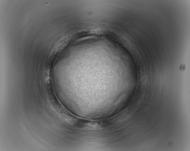 X0000114200502200910231347