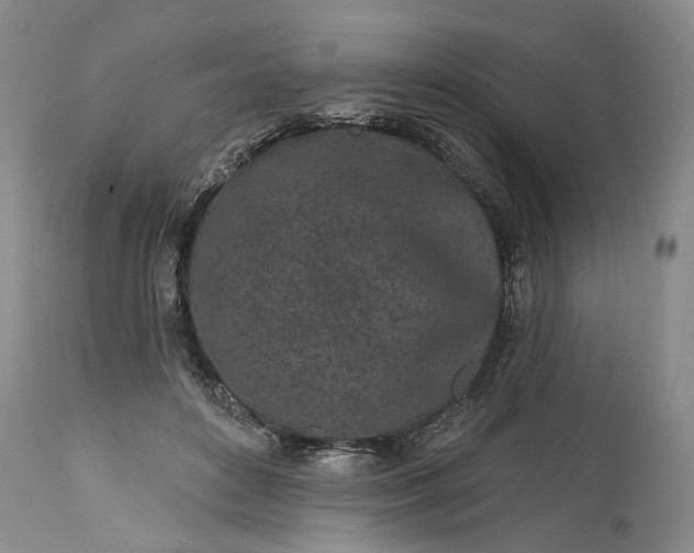 X0000114200504200910231347