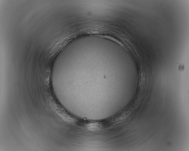 X0000114200505200910231347