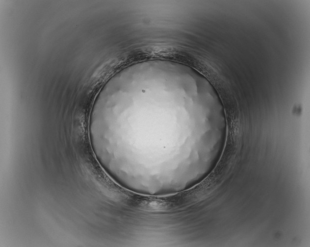 X0000114200506200910231347