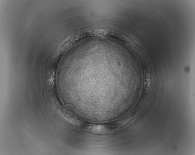 X0000114200507200910231347