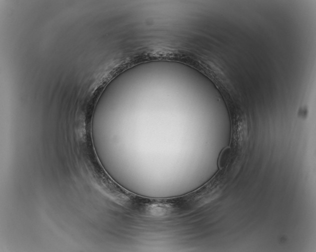 X0000114200508200910231346